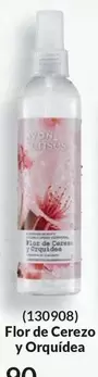 Orquídea - Flor de Cerezo y