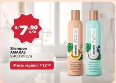 Shampoo