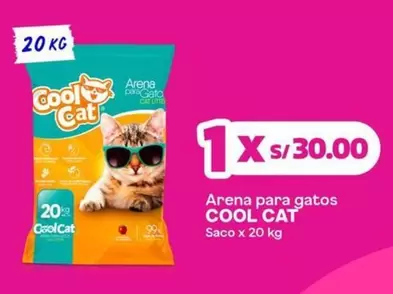 Cat - Arena para gatos