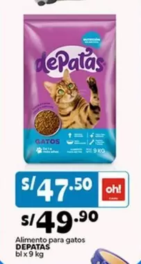 Alimento para gatos