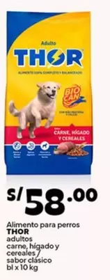 Thor - Alimento para perros