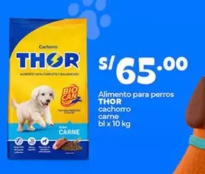 Thor - Alimento para perros cachorro