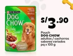 Vida - DOG CHOW