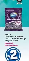 Arcor - Caramelo de Menta con Chocolate x 365 gr.