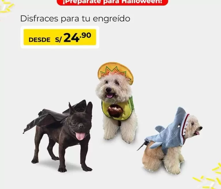 Disfraz para tu engreido
