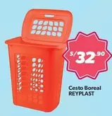 Boreal - Cesto