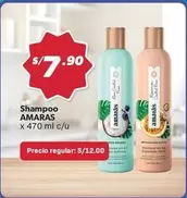 Shampoo