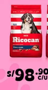 Ricocan - Alimento Adultos