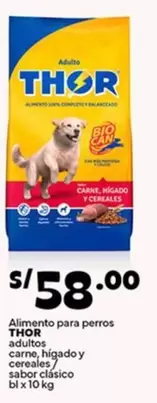 Thor - Alimento para perros