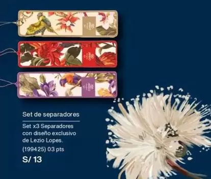 PTS - Set de separadores