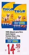Thor - Alimento para Perro Adulto Sabores Variados