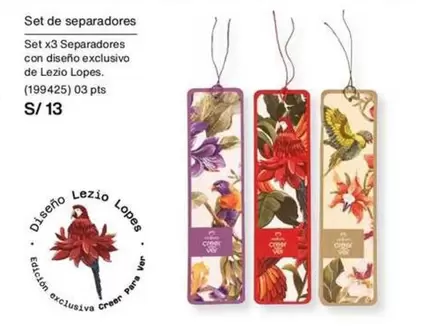 PTS - Set de separadores