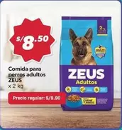 Zeús - ZEUS Adultos