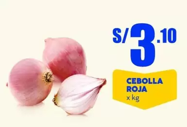 CEBOLLA ROJA