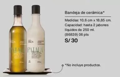 PTS - Bandeja de cerámica