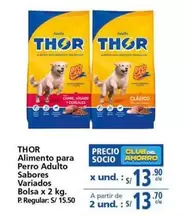 Thor - Alimento para Perro Adulto Sabores Variados