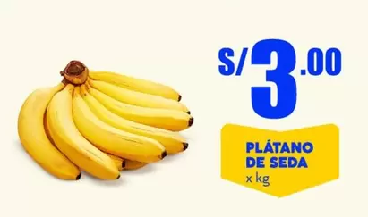 PLÁTANO DE SEDA