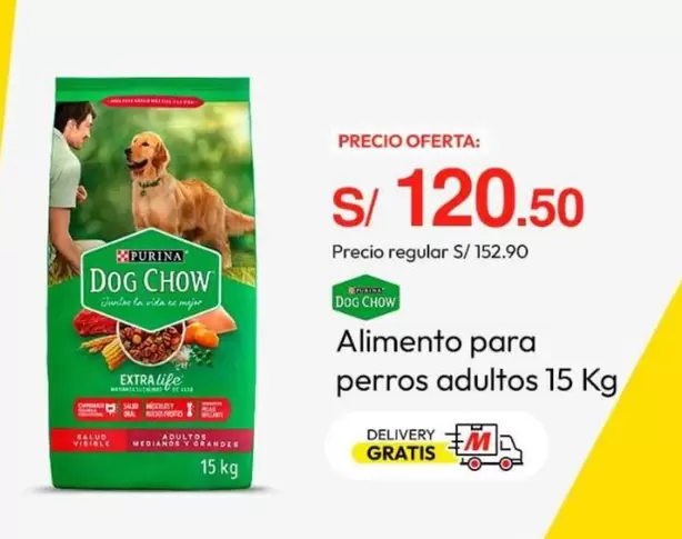 Vida - Alimento para perros adultos