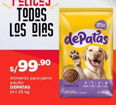Alimento para perro adulto