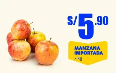 MANZANA IMPORTADA