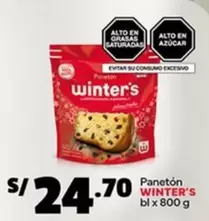 Winter's - Panetón