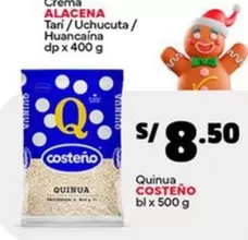 Costeño - Quinua