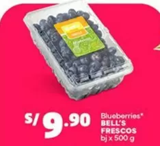 Bell's - Blueberries