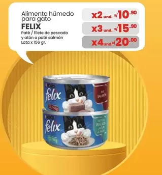 Gato - Alimento húmedo para gato