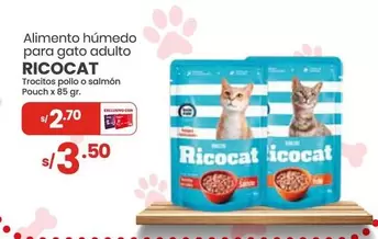 Ricocat - Trocitos pollo o salmón