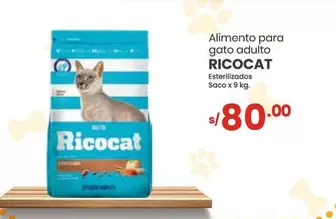 Ricocat - RICOCAT