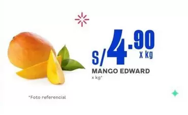Mango - MANGO EDWARD