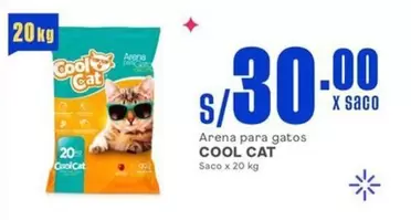 Cat - Arena para gatos