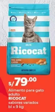 Ricocat - Alimento para gato adulto