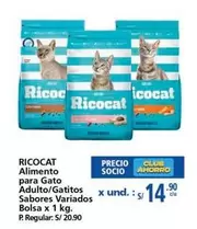 Ricocat - Alimento para Gato Adulto/Gatitos Sabores Variados Bolsa x 1 kg.