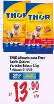 Thor - Alimento para Perro Adulto Sabores Variados