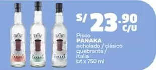 acholado / clásico quebranta / italia