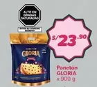 Gloria - Panetón