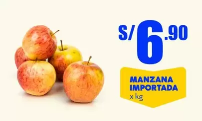 MANZANA IMPORTADA