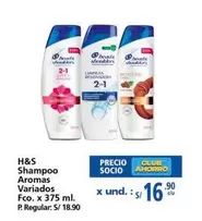 Shampoo Aromas Variados