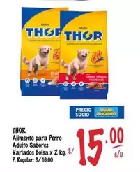 Thor - Alimento para Perro Adulto Sabores Variados Bolsa x 2 kg