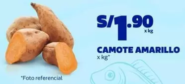CAMOTE AMARILLO