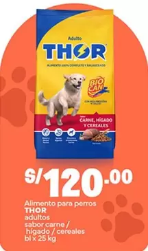 Thor - Alimento para perros