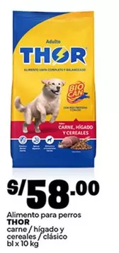 Thor - Alimento para perros