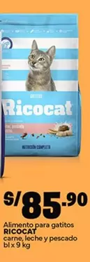 Ricocat - Alimento para gatitos