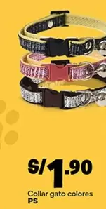 Gato - Collar gato colores