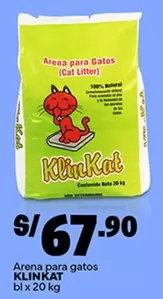 Cat - Arena para gatos