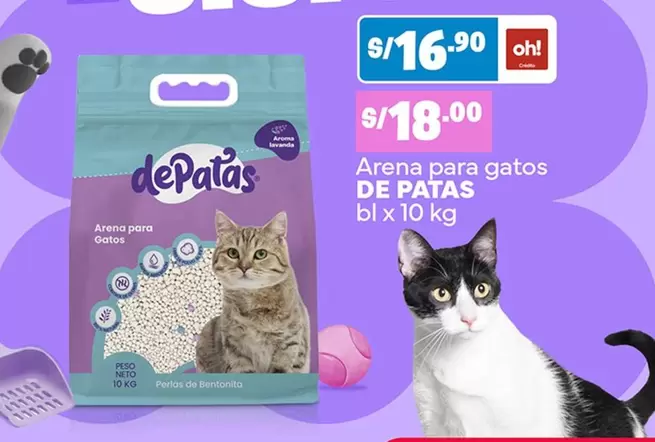 Arena para gatos