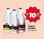 Gloria - Yogurt