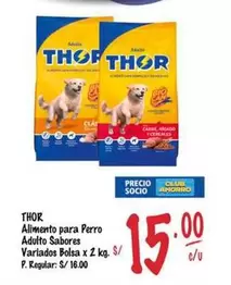 Thor - Alimento para Perro Adulto Sabores Variados Bolsa