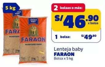 Faraon - Lenteja baby